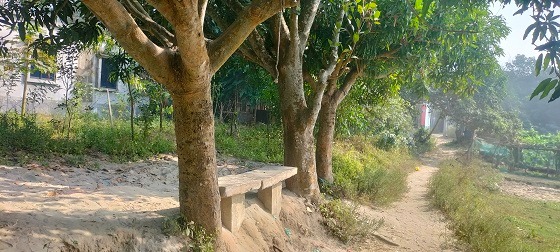 গজারিয়ায় যুবকের ঝুলন্ত লাশ উদ্ধার