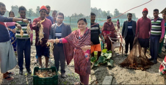 আশাশুনিতে গলদা ক্লাস্টারের ২৫ চাষীর অভাবনীয় সাফল্য