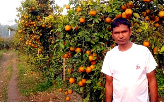 ঘোড়াঘাটে কমলা চাষ করে সফল চাষী