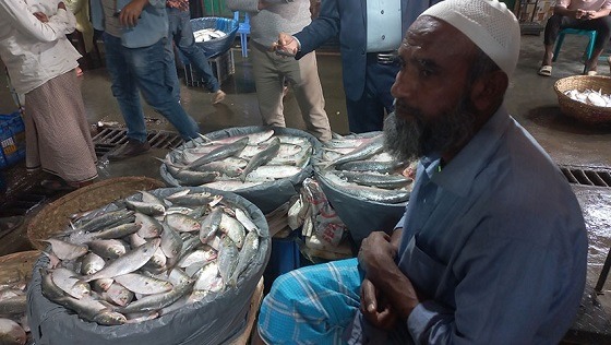 চাঁদপুরে ক্রেতাদের সাড়া পাচ্ছে না মৎস্য ব্যবসায়ীরা