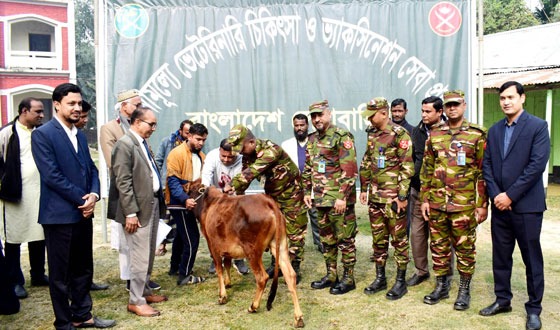 কুড়িগ্রামে গবাদি পশু ও পাখির ফ্রি মেডিকেল ক্যাম্প