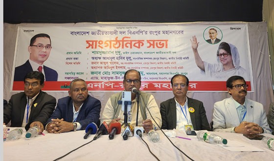 চলতি বছরে জাতীয় সংসদ নির্বাচন হলে দেশের সব সংকট কেটে যাবে: দুদু