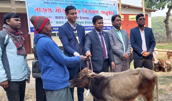 ক্ষুদ্র নৃ-গোষ্ঠীর মাঝে বাড়ন্ত ষাঁড় বিতরণ