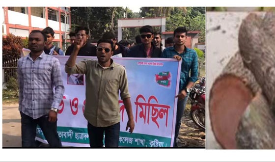 গোপনে দৌলতপুর কলেজের গাছ বিক্রয় করার অভিযোগ