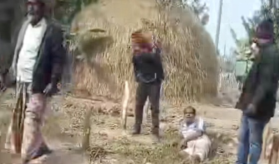 মহাদেবপুরে মারপিটের ভিডিও ভাইরাল: করাগারে ২