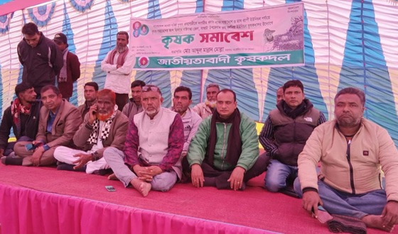 সাঘাটায় কৃষকদলরে সমাবশে অনুষ্ঠতি
