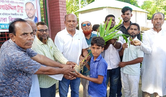 টাঙ্গাইলে মাহমুদনগর ইউনিয়নে বিভিন্ন শিক্ষা প্রতিষ্ঠানে বিনামূল্যে বৃক্ষের চারা প্রদান