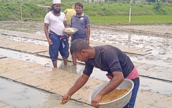 পবায় বাড়ছে কৃষি যন্ত্রপাতির ব্যবহার; কৃষকদের উদ্বুদ্ধ করছেন কৃষি কর্মকর্তাবৃন্দ