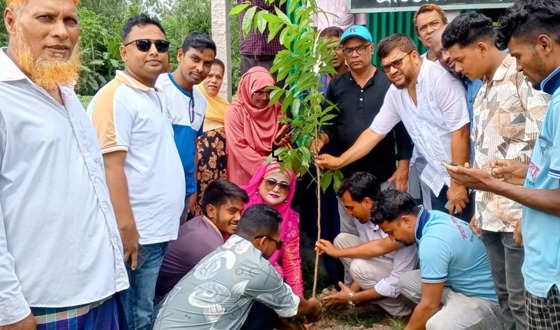 টাঙ্গাইলে বিভিন্ন শিক্ষা প্রতিষ্ঠানে গাছের চারা বিতরণ