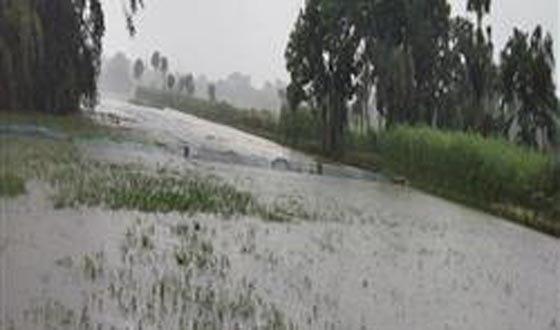 বৃষ্টিতে নিন্মআয়ের মানুষ বিপাকে