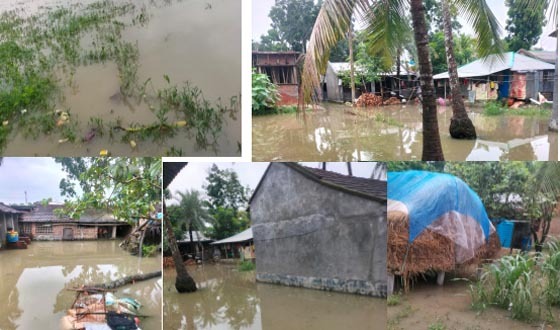আশাশুনিতে টানা বৃষ্টিপাতে ভয়াবহ জলাবদ্ধতা