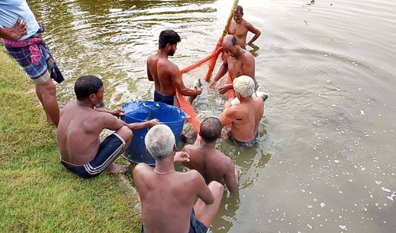 অবসরপ্রাপ্ত যুব উন্নয়ন কর্মকর্তার মৎস্য খামারের গল্প