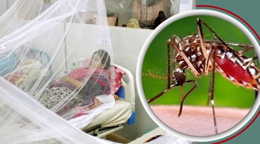 ২৪ ঘণ্টায় ডেঙ্গুতে এক মৃত্যু, এ বছর মোট মৃত্যু ৫৫