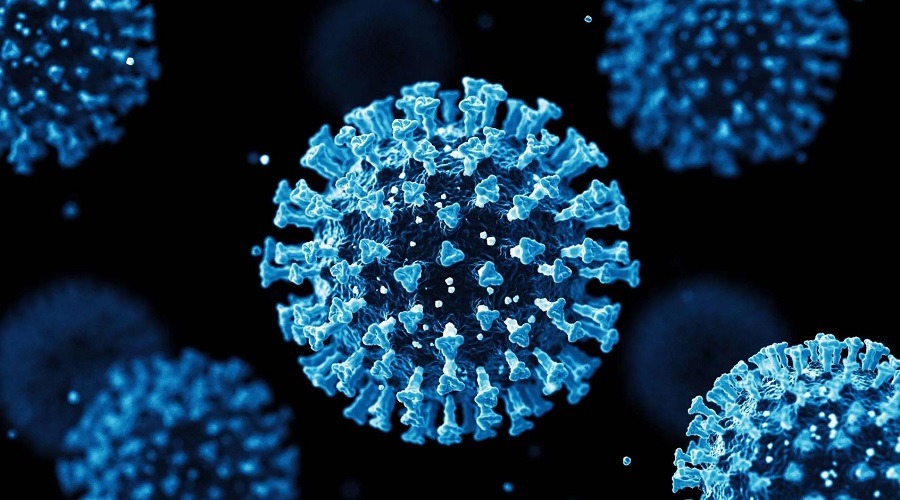 সারাদেশে নীরবে ছড়িয়ে পড়ছে প্রাণঘাতী মেলিওডোসিস