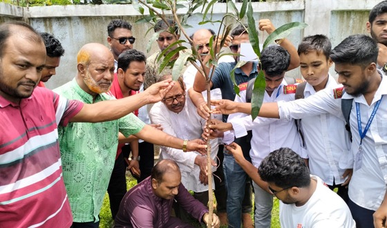 কালীগঞ্জে জুলাই শহীদদের স্মরণে বিএনপি নেতার বৃক্ষরোপণ কর্মসূচি