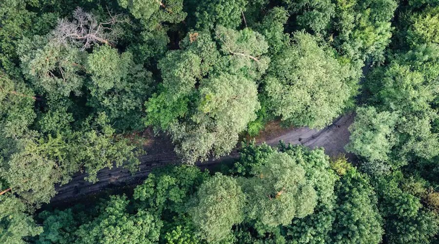 মিয়ানমারে উলফার ঘাঁটিতে হামলার অভিযোগ, ভারতীয় সেনাবাহিনীর অস্বীকার