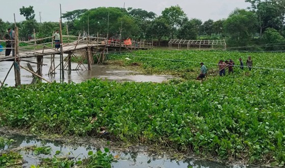 কপোতাক্ষ নদের ভাঙা বাঁশের সাঁকো মেরামতে উদ্যোগ প্রশাসনের