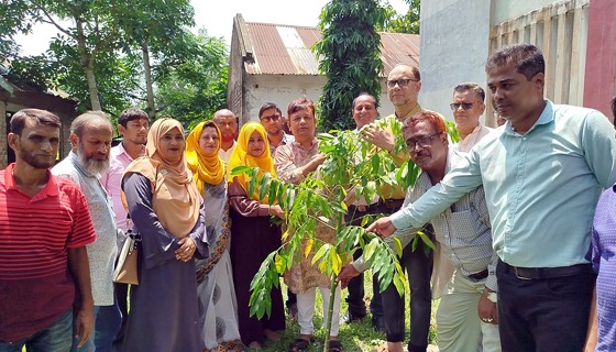 নড়াইলের নবগঙ্গা কলেজ ক্যাম্পাসে বৃক্ষরোপন
