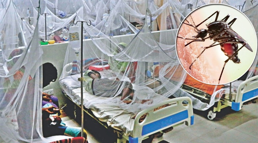 ডেঙ্গু আক্রান্ত হয়ে হাসপাতালে ভর্তি ৪২৯