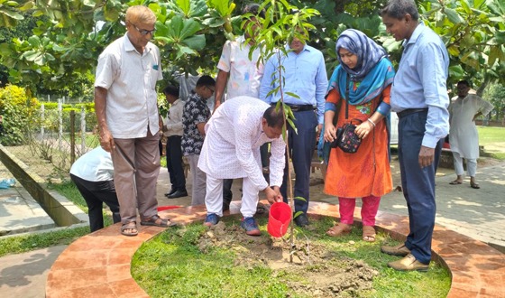 কাহারোলে একদিনে ৪২ হাজার বৃক্ষ রোপণ