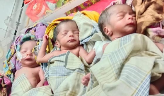 এক সাথে তিন সন্তান প্রসব, আর্থিক সংকটে পরিবার