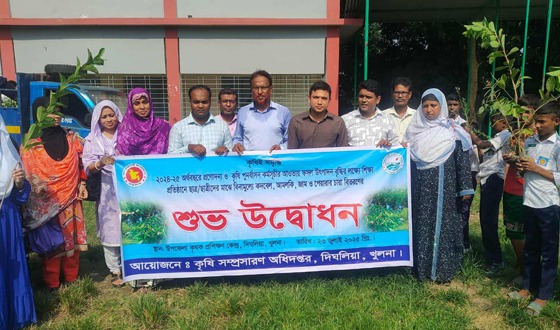 দিঘলিয়ায় বিদ্যালয়ের ছাত্র-ছাত্রীদের ফলের চারা বিতরণ