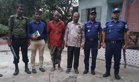 রাণীশংকৈলে বন্য প্রাণী ক্রয়-বিক্রয় অপরাধে জরিমানা