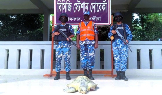 সুন্দরবনের চুনকুরি নদী থেকে আহত কচ্ছপ উদ্ধার