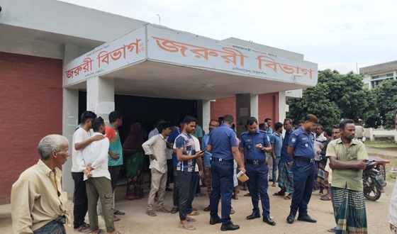 রাণীশংকৈলে সড়ক দূর্ঘটনায় কাঠ মিস্ত্রি নিহত