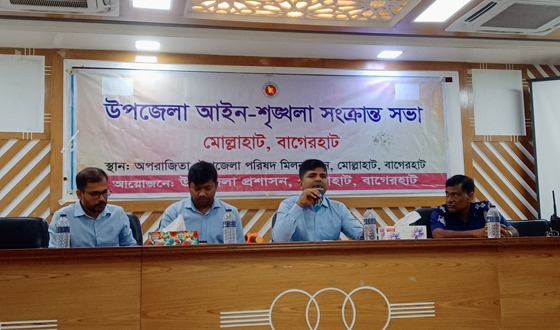 মোল্লাহাটে উপজেলা আইন-শৃঙ্খলা কমিটির মাসিক সভা
