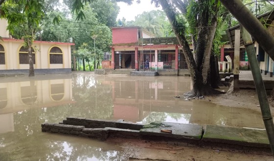 সাটুরিয়ায় সামান্য বৃষ্টিতেই বিদ্যালয়ে হাটু পানি