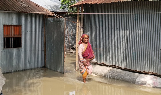 লালমনিরহাটে হঠাৎ বন্যা, কমতে শুরু করেছে তিস্তার পানি