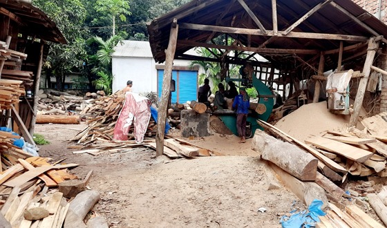 সৈয়দপুরে অনুমোদন ছাড়াই চলছে ২৬ করাতকল