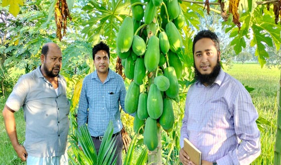বিরলে মতিউর রহমানের মডেল কৃষি বাড়ি দেখতে আসছেন অনেকে