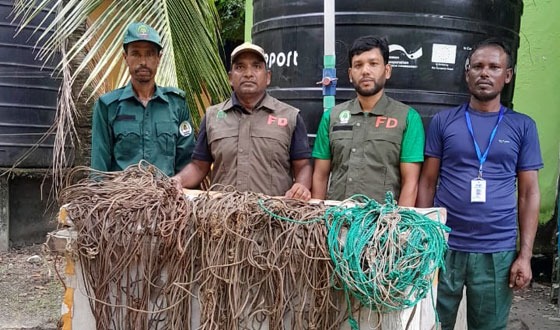 সুন্দরবনে বন রক্ষিদের অভিযানে হরিণ ধরার ফাঁদ উদ্ধার