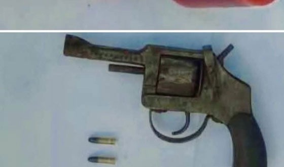 ভেড়ামারায় অত্যাধুনিক অস্ত্র-গুলি উদ্ধার