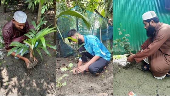 ইসলামী ছাত্র আন্দোলন ইবির বৃক্ষরোপণ কর্মসূচি