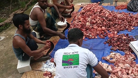 সেনবাগের গরু কোরবানী করে অসহয় ও দুঃস্থদের মাঝে বিতরণ