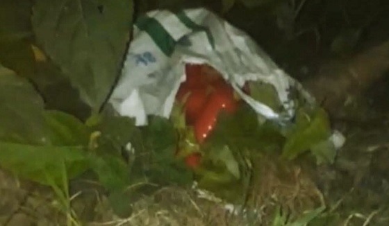 সাতক্ষীরার বাইপাস সড়কের পাশ থেকে বোমা সাদৃশ্য বস্তু উদ্ধার