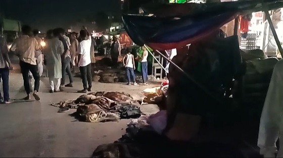 সেনবাগে চামড়ার মূল্য না পেয়ে কান্নায় ভেঙ্গে পড়ল মৌসুমী ব্যবসায়ীরা