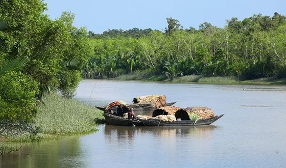 সুন্দরবনে ফের দস্যুতা, আতঙ্কে জেলে ও বনজীবীরা
