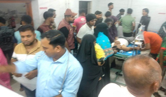 চাঁদপুরে কুরবানির পশু কাটতে গিয়ে প্রায় শতাধিক আহত