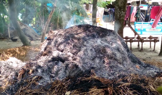 রাণীনগরে আগুন দিয়ে খড়ের পালা পুড়িয়ে দেয়ার অভিযোগ