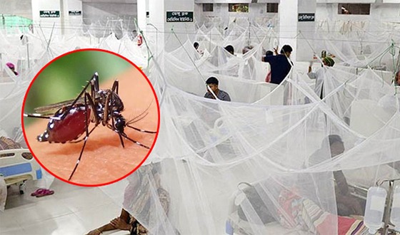 ডেঙ্গুতে বরিশালে ৩ মৃত্যু, ভর্তি ১২৪