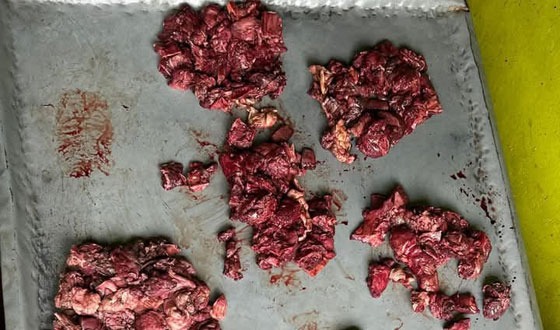 কয়রায় গরুর পঁচা মাংস বিক্রির অভিযোগে ব্যবসায়ীকে কারাদন্ড