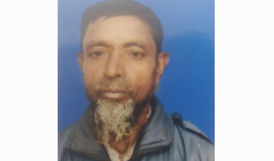 মোল্লাহাটে সড়ক দুর্ঘটনায় ভ্যানচালকের মৃত্যু
