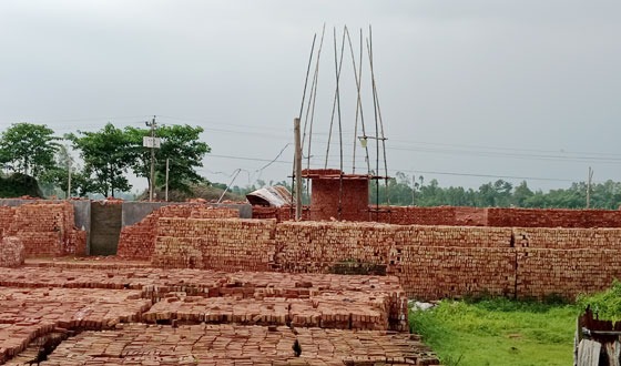 পীরগাছায় আবারো ইটভাটা নির্মাণ