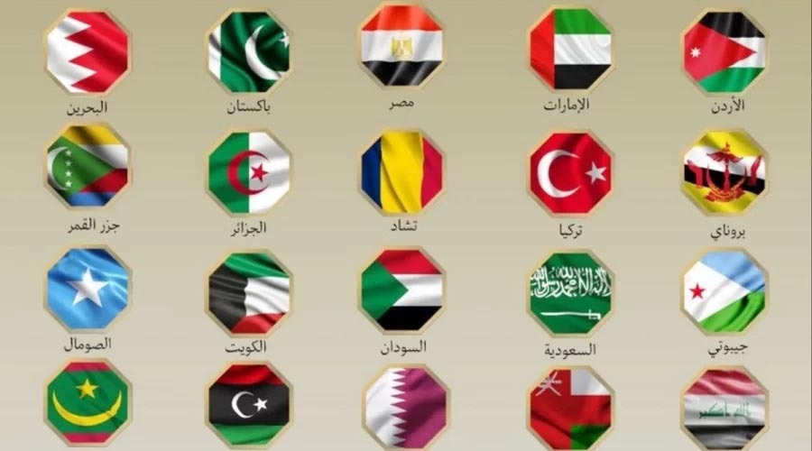 ইসরায়েলি হামলার নিন্দা জানাল ২১ মুসলিম দেশ