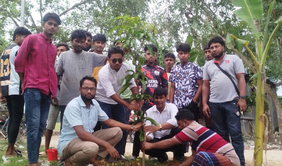 ক্ষেতলালে ১৫ দিন ব্যাপী বৃক্ষরোপণ কর্মসূচির ঘোষণা