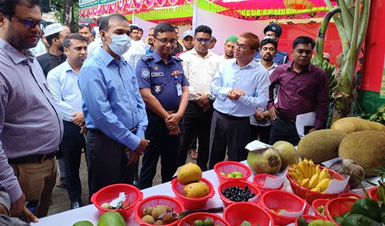 ঝিনাইদহে জাতীয় ফল মেলা শুরু